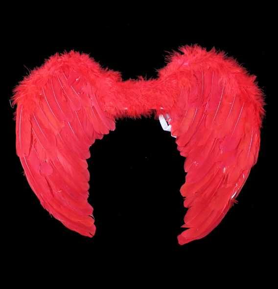 Skrzydła czerwone 60x40