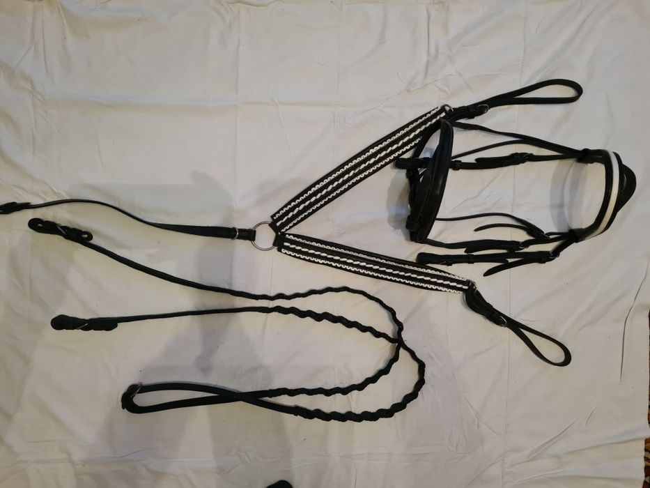 Амуніція для коней