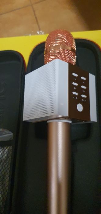 Microfone Tosing 008