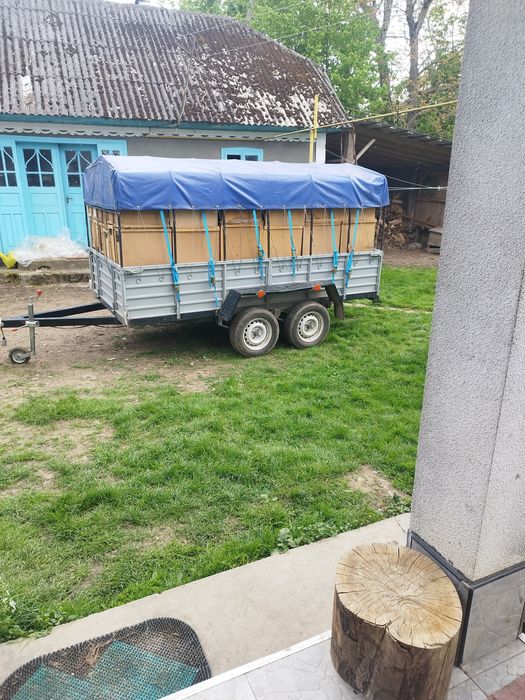 2026 Принимаю заказы на пчелопакеты Карпатка