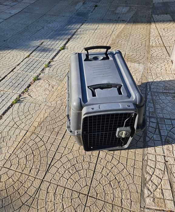 Transportadoras de cães