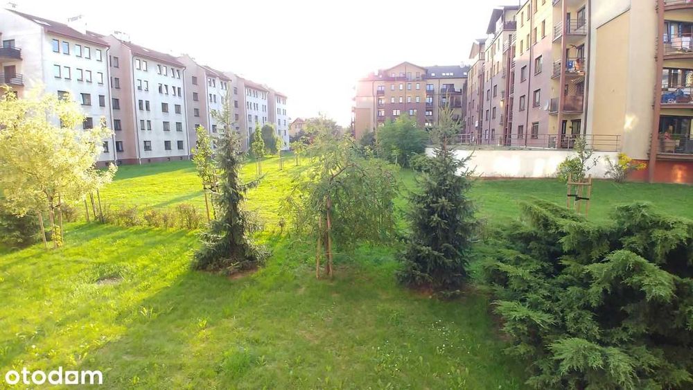 Zdjęcie 7