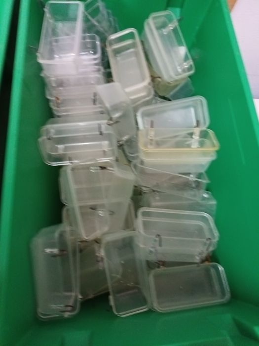 Carro de sementes 2 tulhas