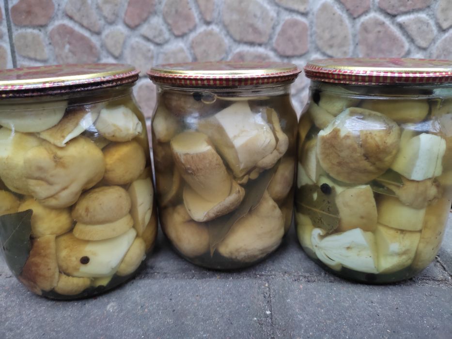 Білі грибочки мариновані