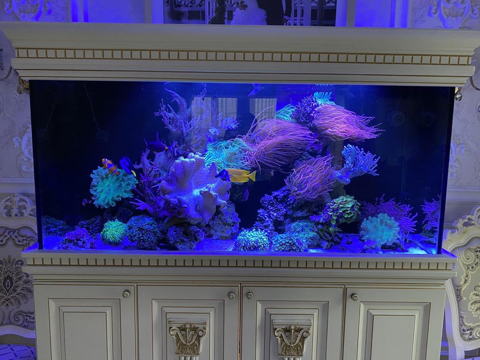 Морской аквариум