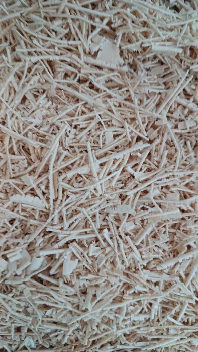 Trociny wióry bukowe dębowe