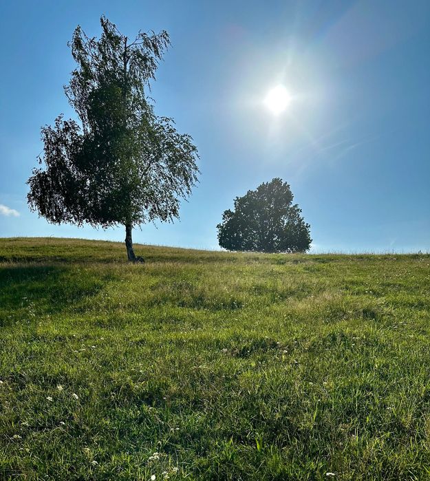 Działka budowlana z panoramicznym widokiem na GórySowie i Zamek Grodno