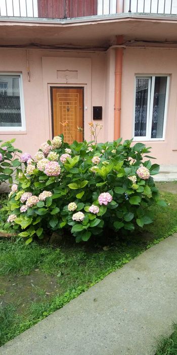 1 комн. квартира в центре .
