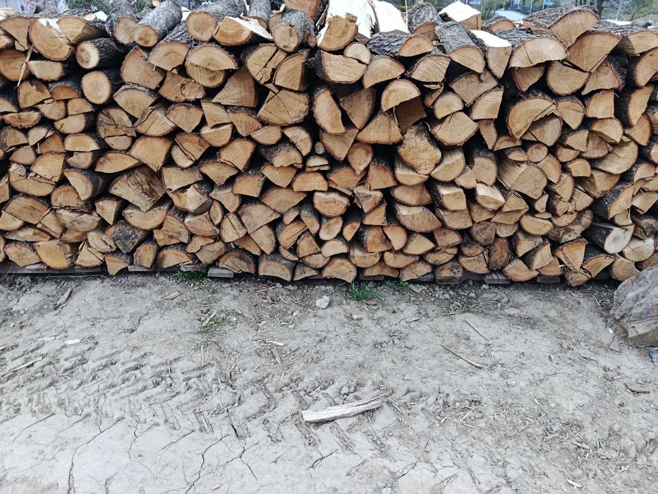 Szczypa kominków dąb grab