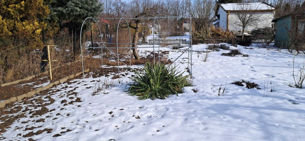 Działka ogrodnicza Puławy ROD Zacisze