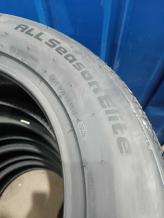 Goodride 255/55 R19 111V XL All Season Z-401