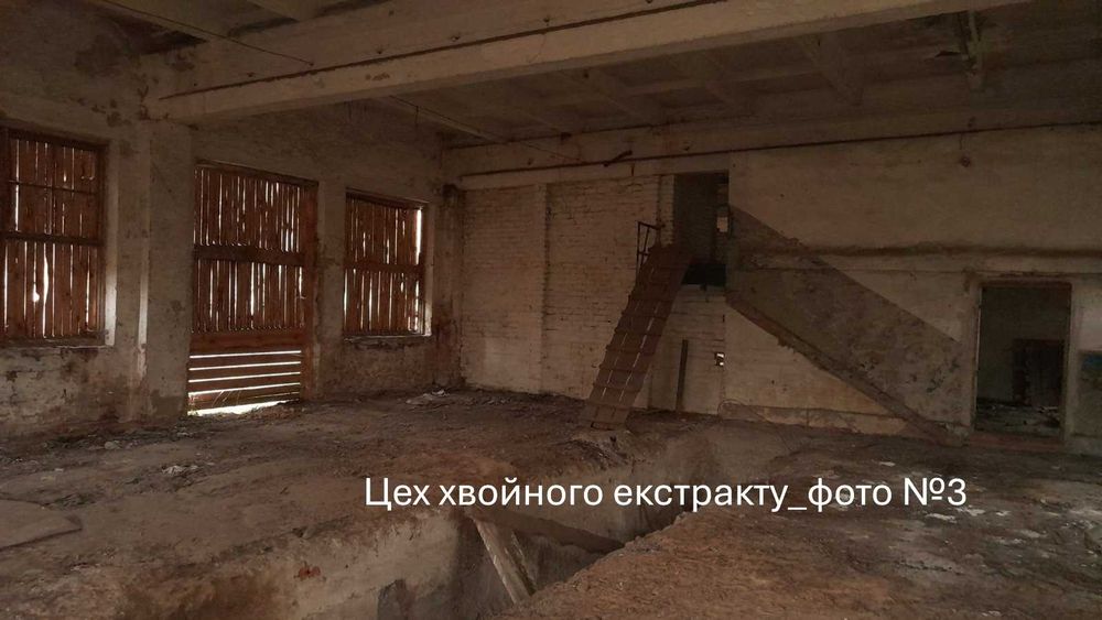 Комплекс будівель (цех, майстерня, їдальня) - м. Володимир, Волинська обл.