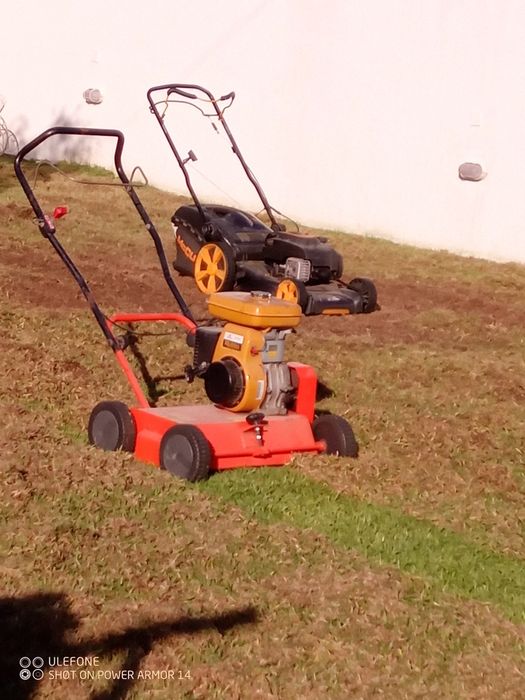 Jardineiro e manutenção de piscinas
