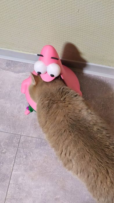 Підставка для миски для тварин “SpongeBob / Patrick” (3D-друк)