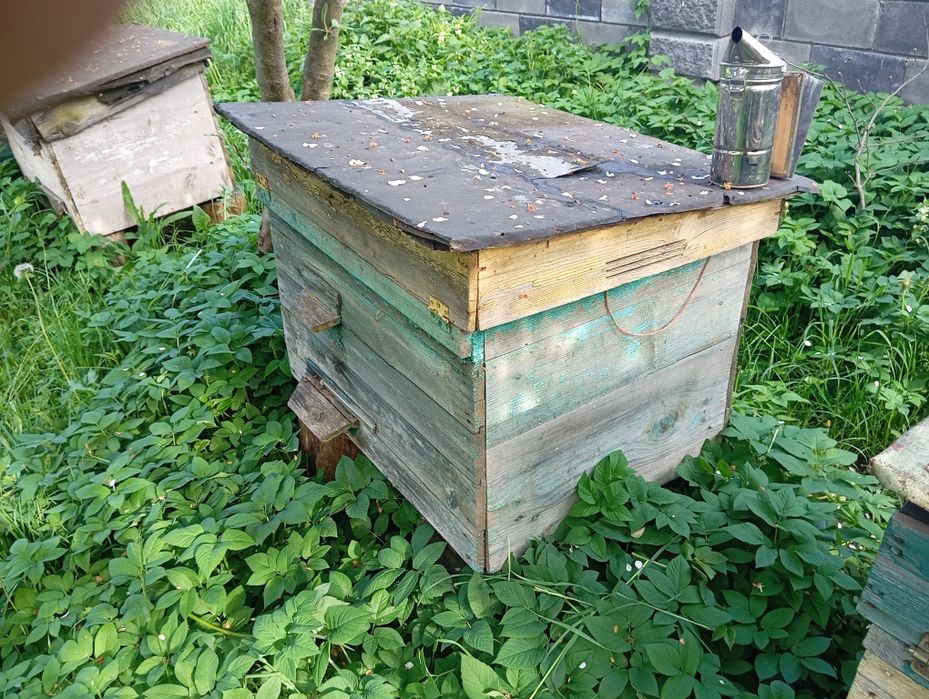 Продам вулики дадан