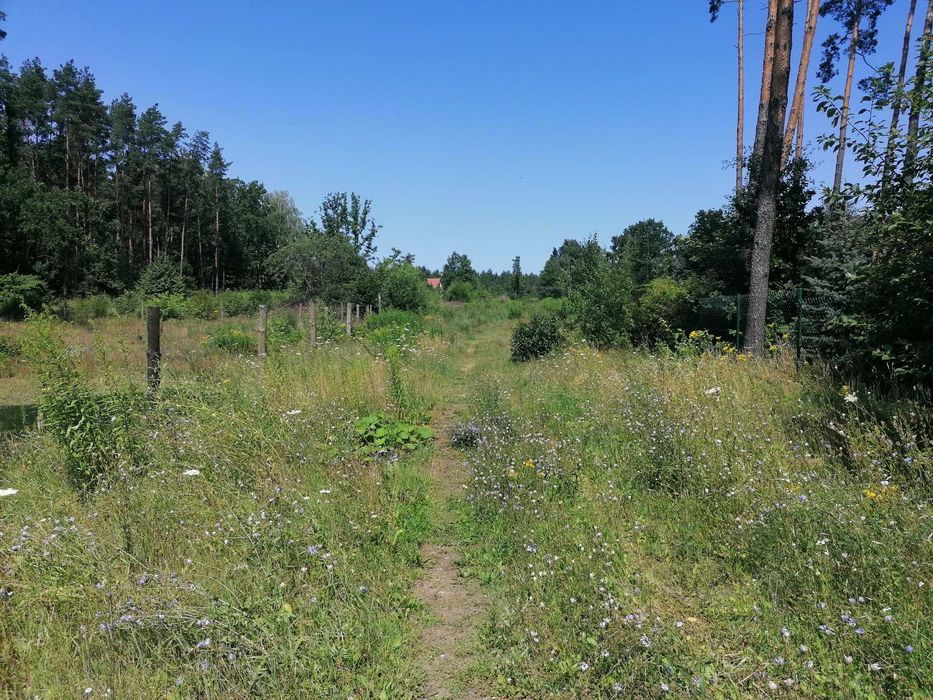 Sprzedam działkę rolną w Sobolewie Gm. Supraśl , pow 11403m2.