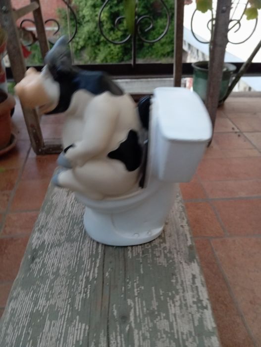 Смішна корівка !