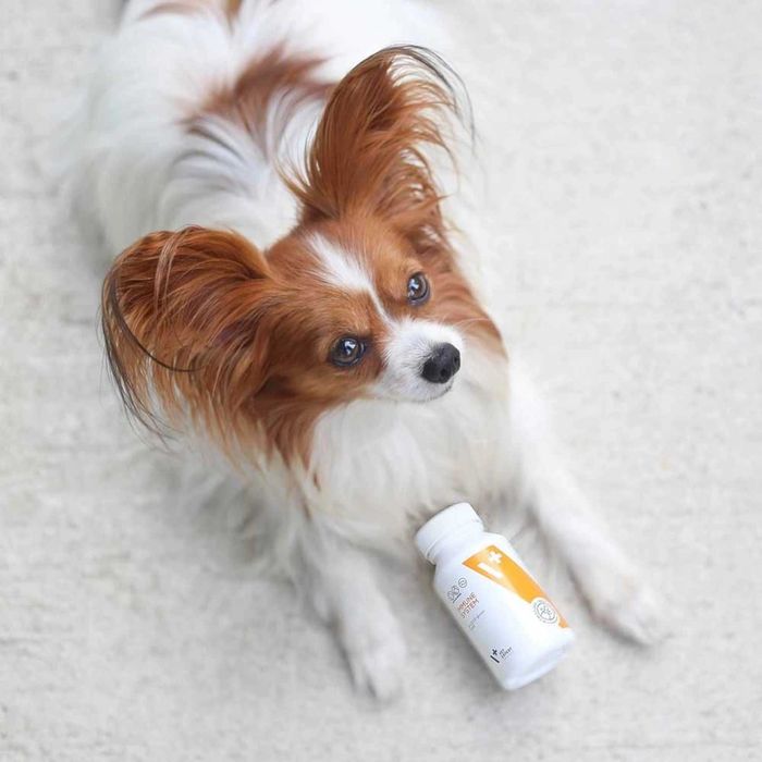 Vet Expert Immune System 2 x 30 kaps odporność psa