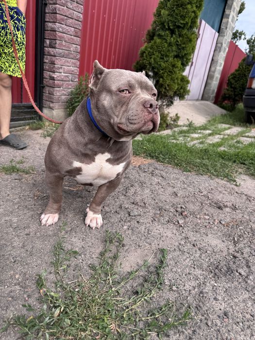 Пропоную на вʼязку