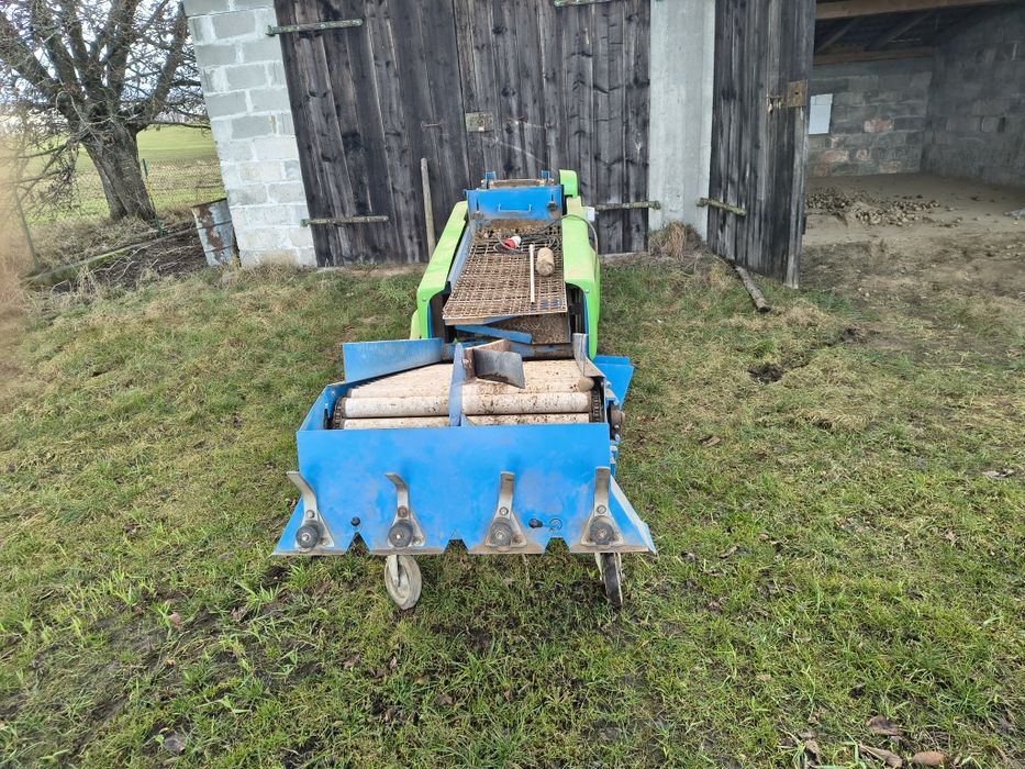 Sortownik do ziemniaków