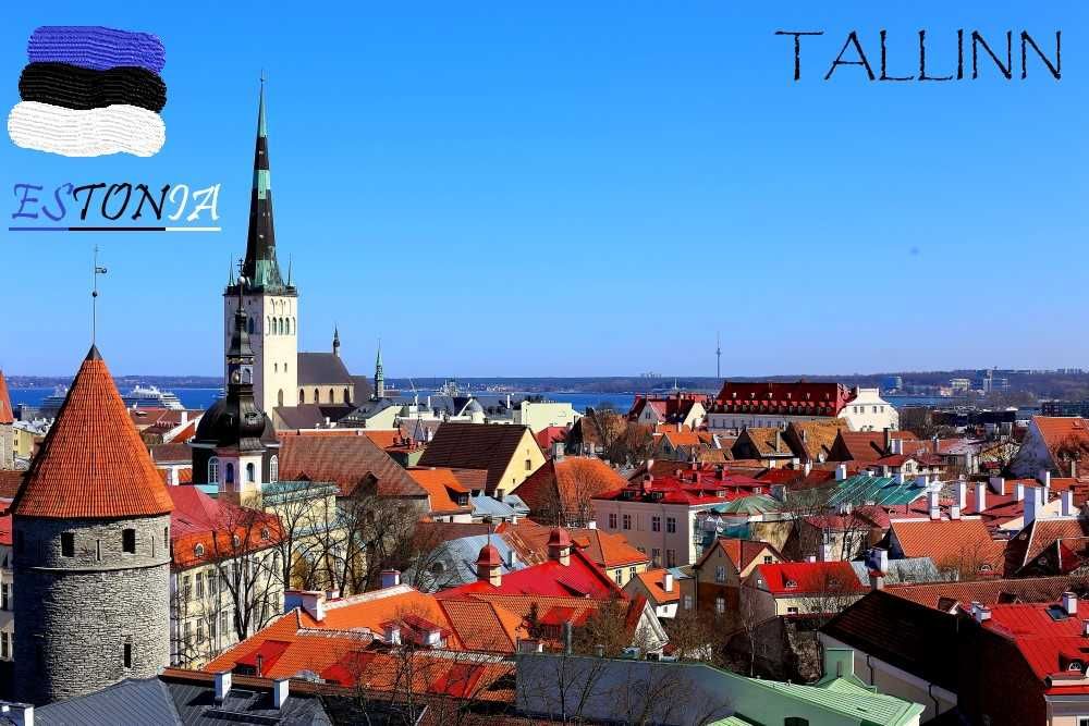 Magnes na lodówkę Estonia Tallinn