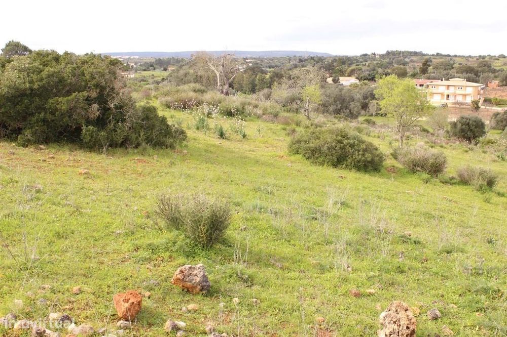 Terreno Rústico Em Espiche