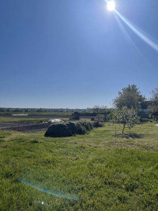 Дадим дом бесплатно для жизни