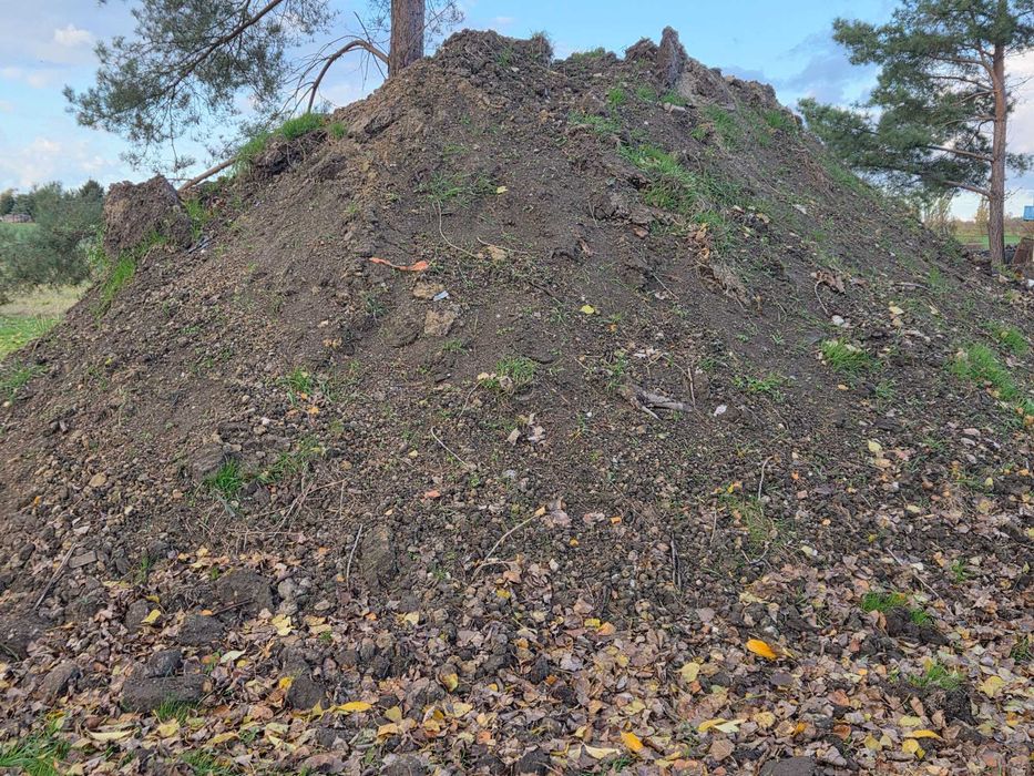 Oddam ziemie  oddam ziemie