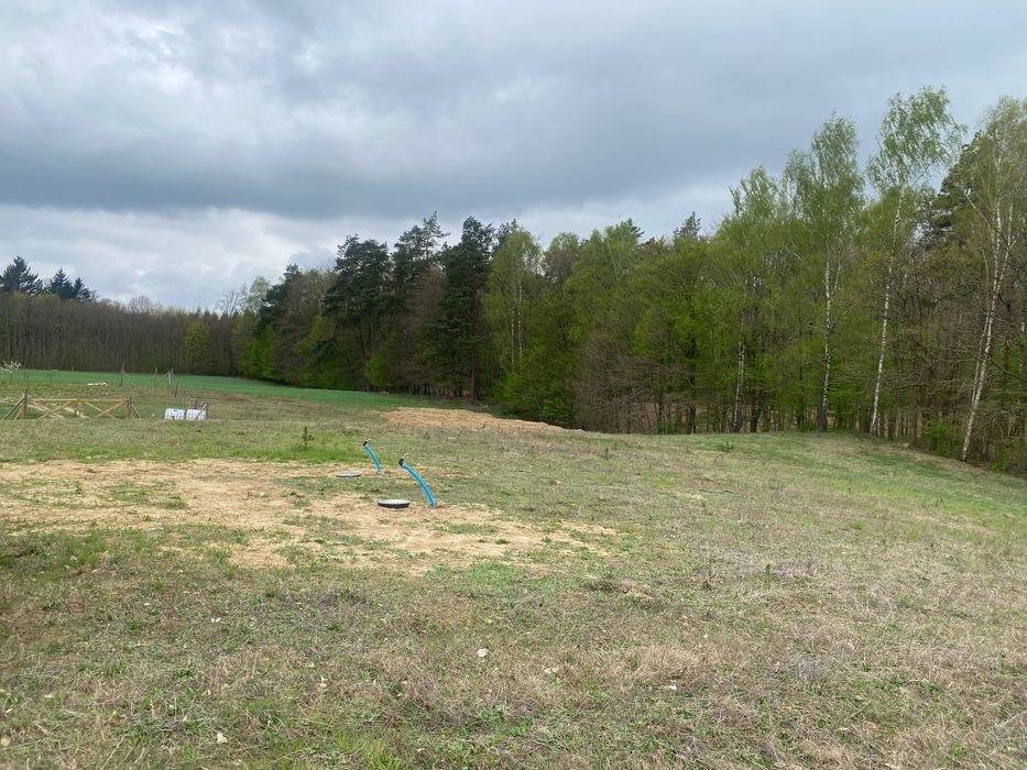 działka budowlana granicząca z lasem