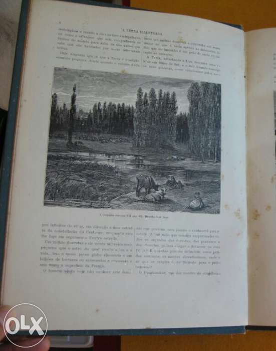 Livro Antigo A Terra Illustrada Companhia Nacional Editora