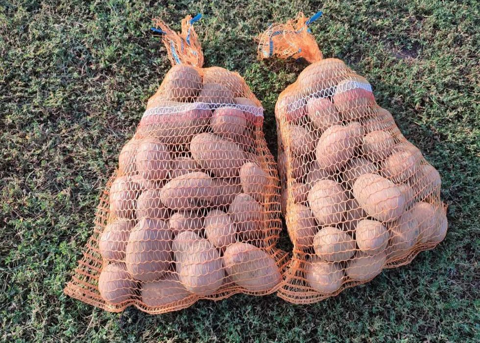 Ziemniaki od rolnika