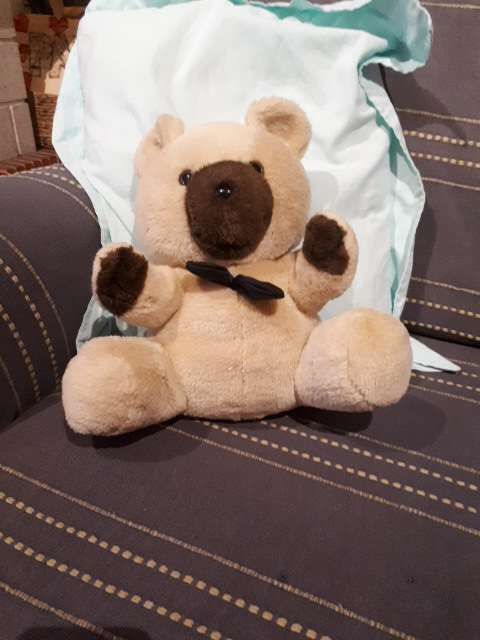 Urso de peluche
