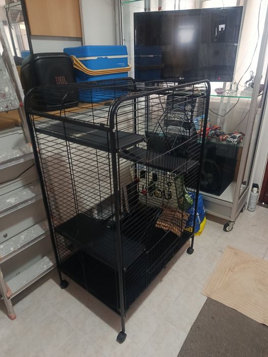 Gaiola para hamster  grande