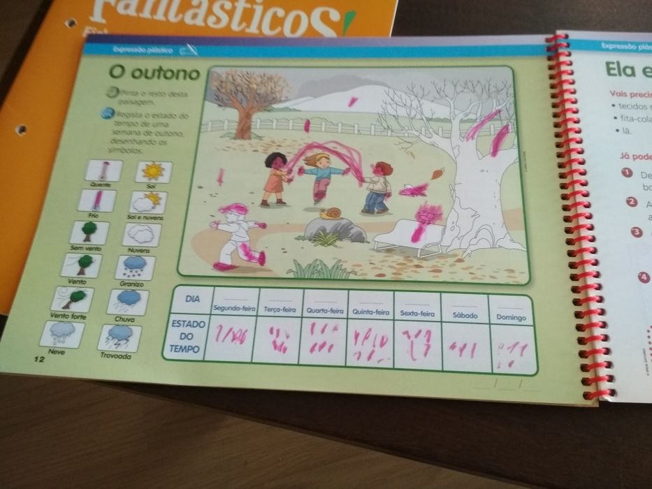 Vários manuais Estudo do Meio primeiro ano