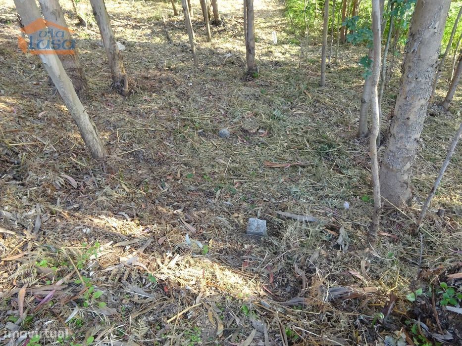 Terreno com 2.200 m2 para construção de uma moradia de 4 frentes em...