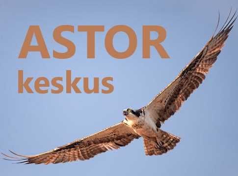 Створення сайту під ключ