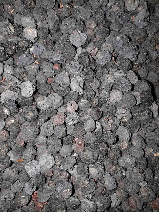 Черника з печі.    .