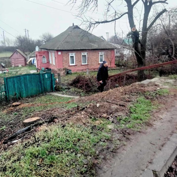 Будинок в Миргороді