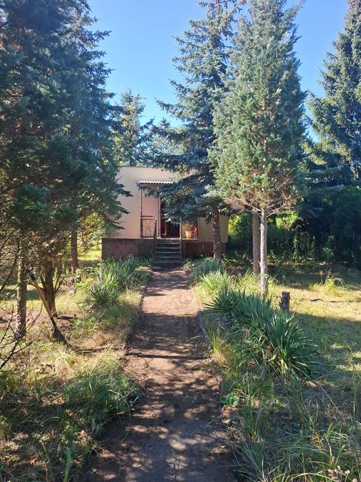 Sprzedam działkę ROD "Kolejarz" Olechów