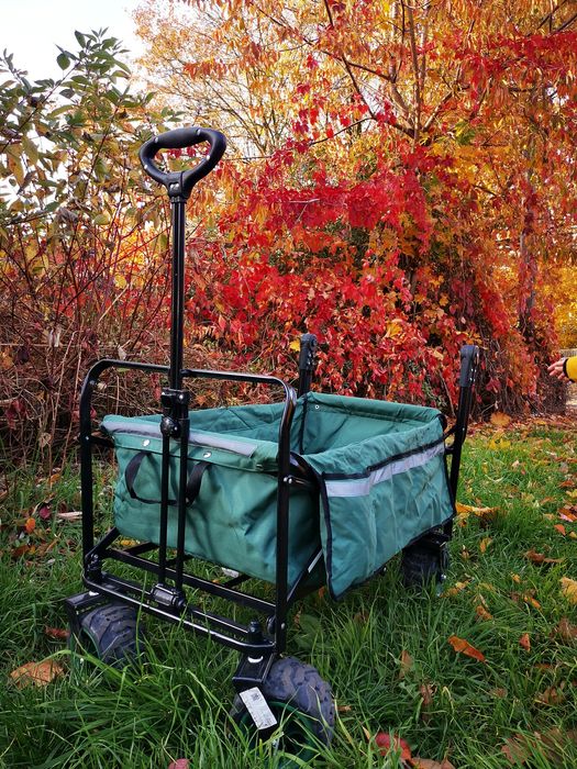 Easy Rider Ręczny wózek transportowy dla dziecka/solidny