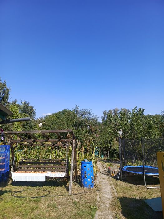 Продаж Дачі Обласна лікарня ст "Берізка"