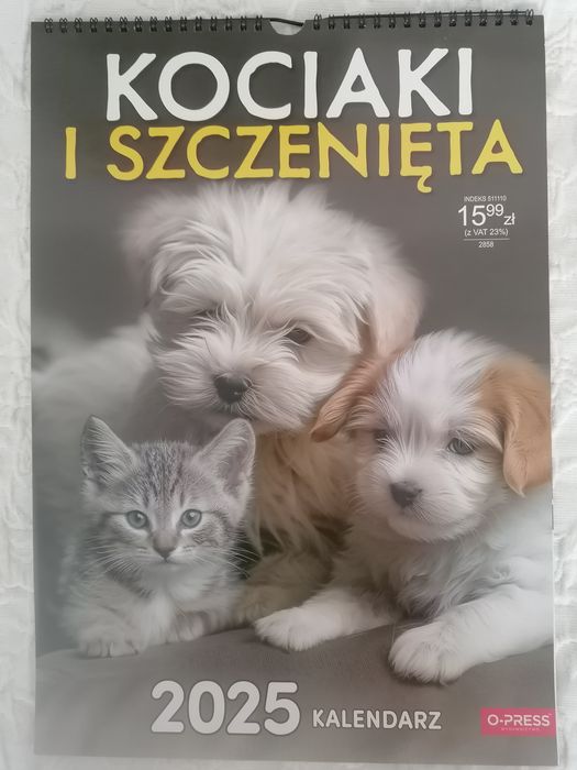Kalendarz ścienny z kociakami i szczeniakami 2025  Bez śladów używania