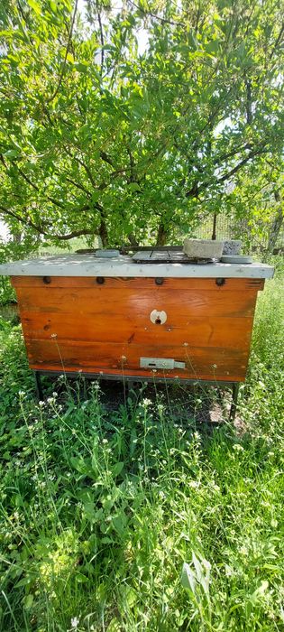 Вулики і підстави під них