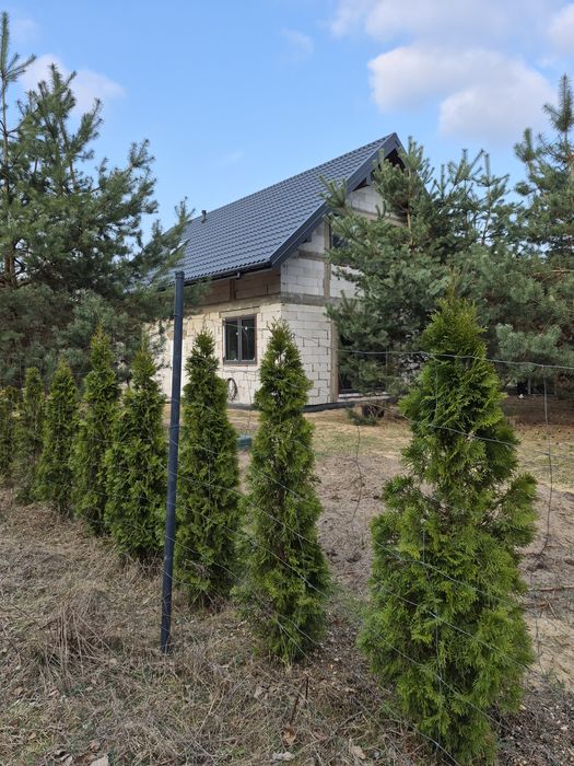 Dom wolnostojący