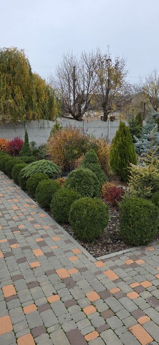 Продам Дом ,дачу,Эсхаре