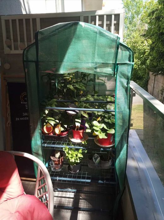 Szklarnia Balkonowa Ogrodowa Tunel Foliowy Mocna Rośliny Kwiaty Zioła