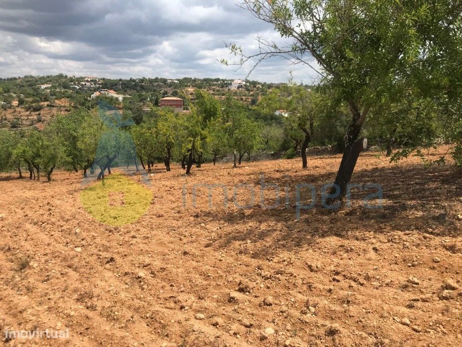 Terreno Rústico 1800M2 Vista Fantástica Boliqueime — Boliqueime, Faro