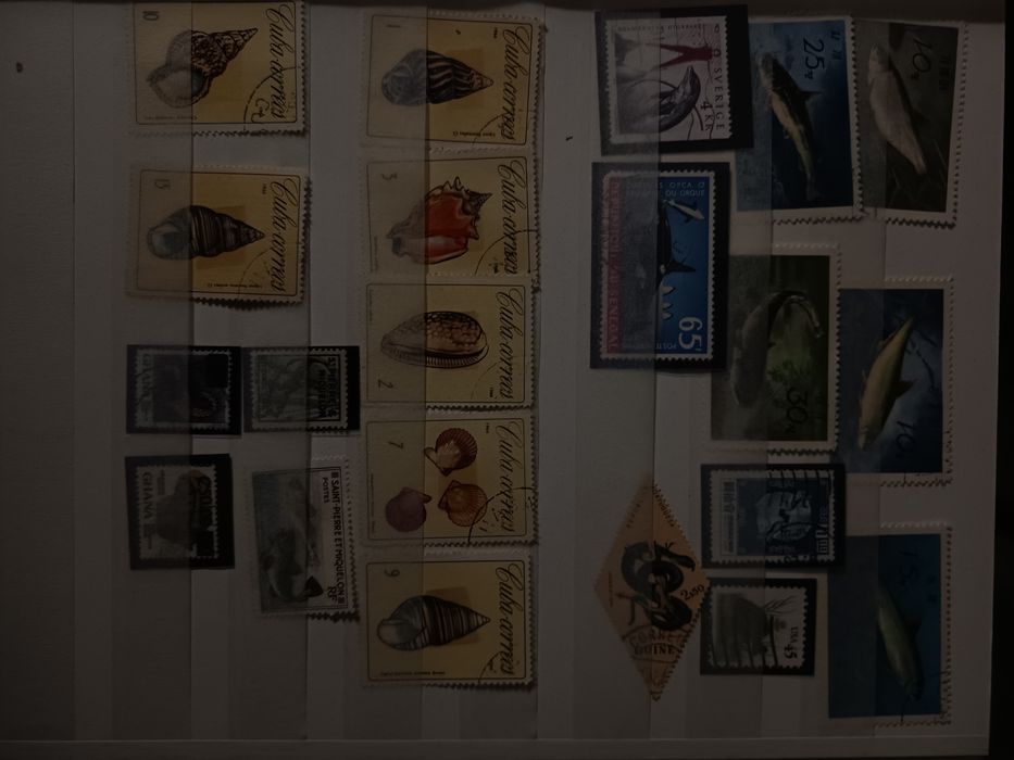 Filatelia - selos de coleção