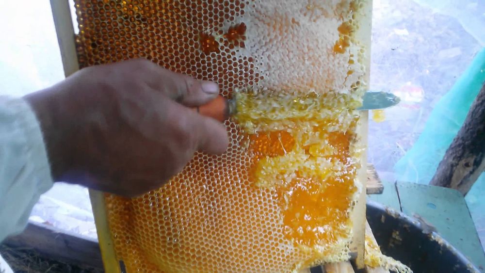 Урожай 2022 року. Натуральний , свіжий ,мед з різнотрав'я