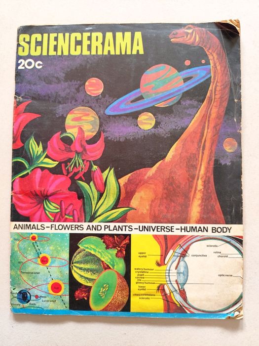 Lote de 6 Cadernetas de Cromos antigas